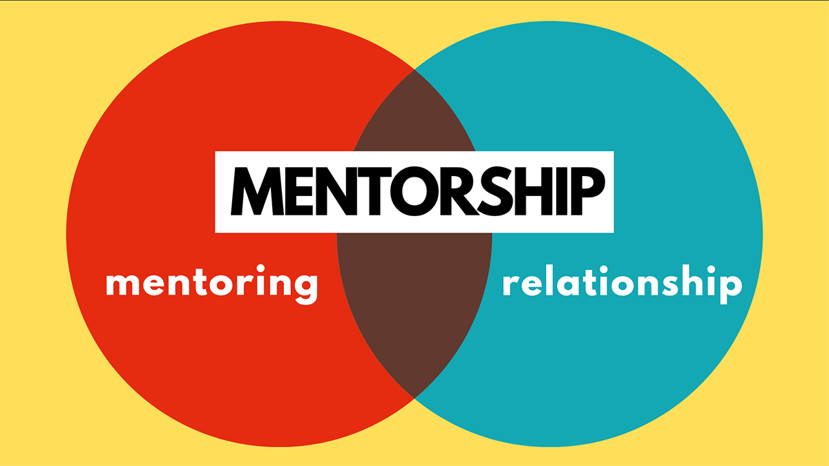 Mentoring and organizational justice:  